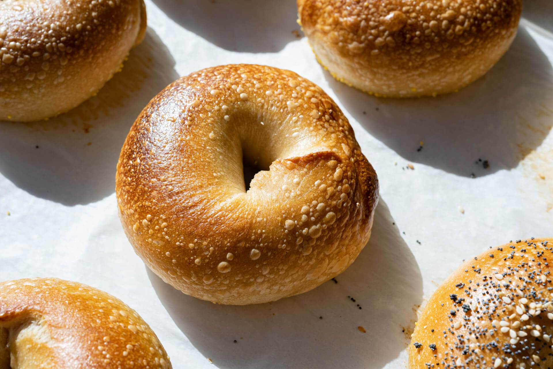 Sourdough Bagel | The Perfect Loaf